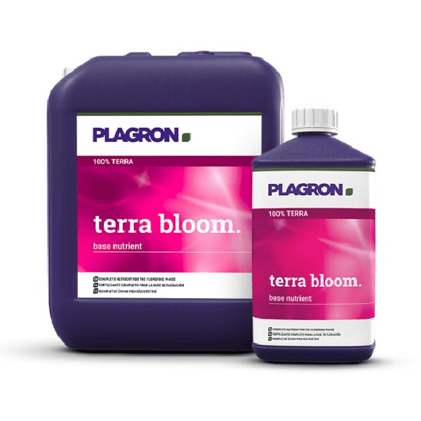 TERRA BLOOM