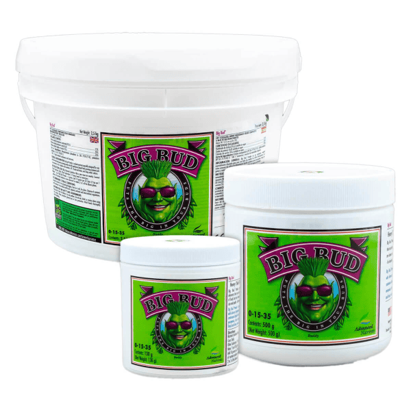 BIG BUD POWDER