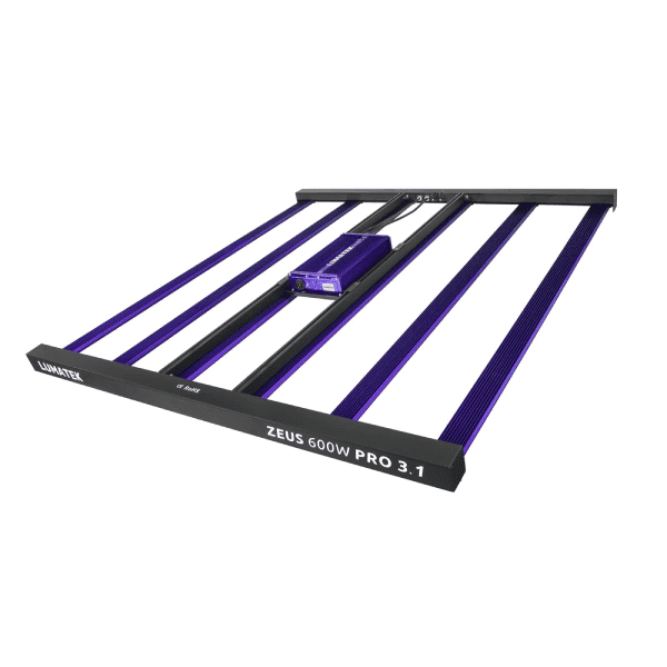 Zeus Pro 3.1 600w 2